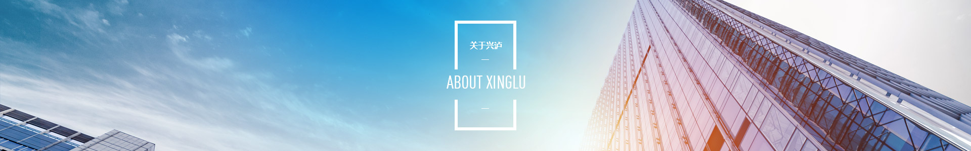 关于九游会老哥